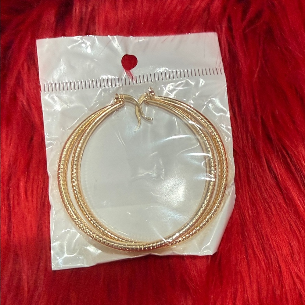 Elegant Gold Hoop Earrings